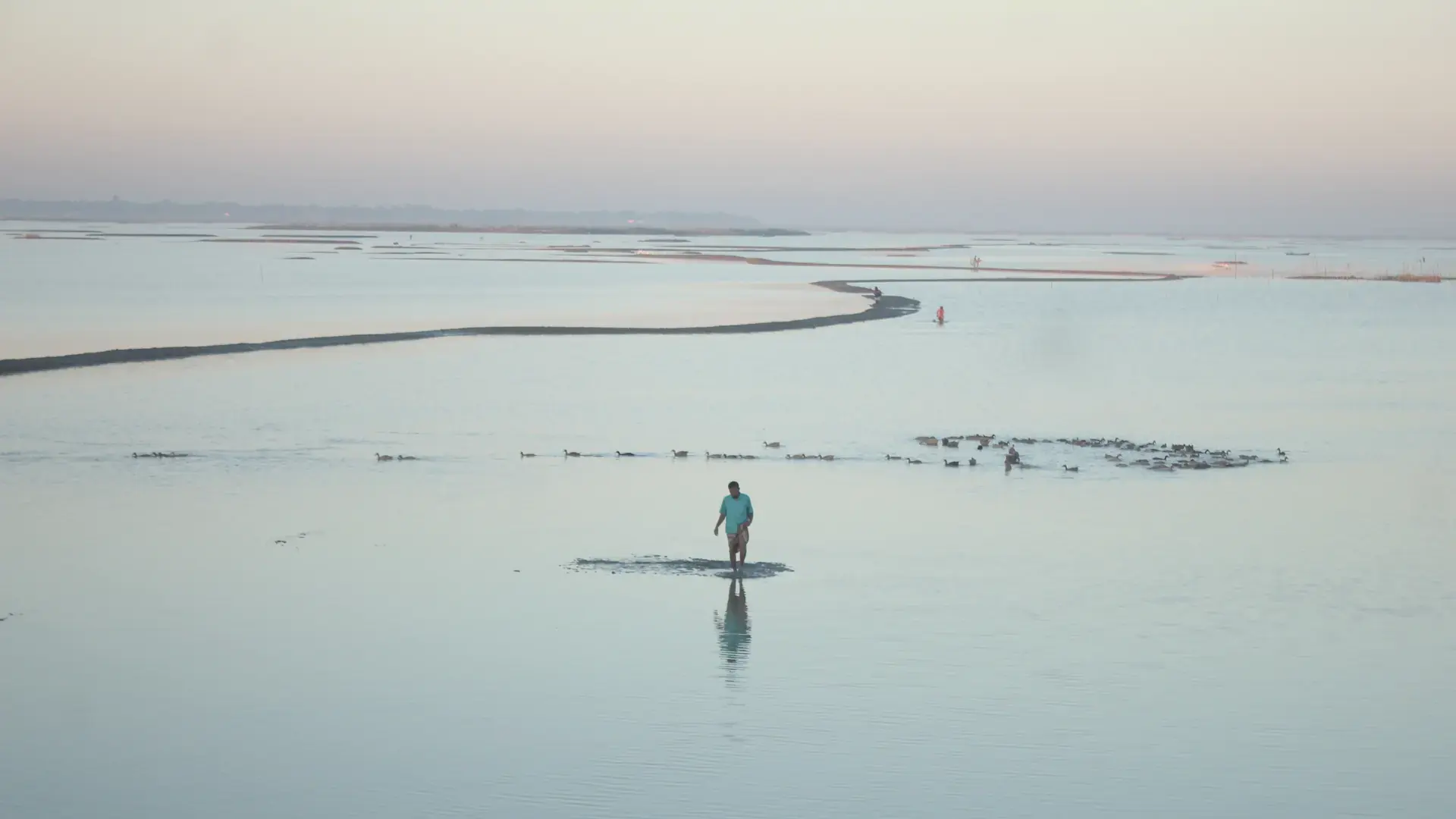 Seasonal open water and green fields across Nikli Haor in Kishoreganj