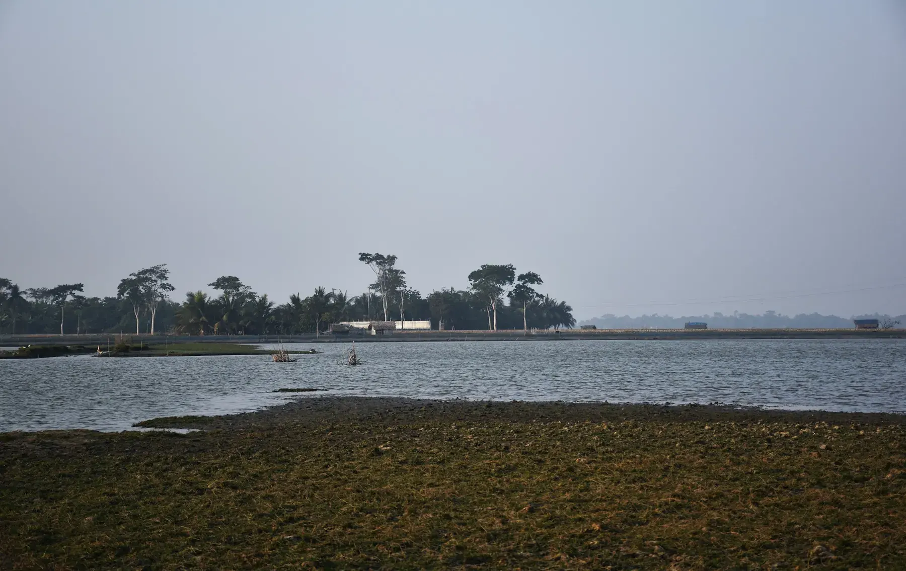 A broad tidal channel at the edge of the Sundarbans