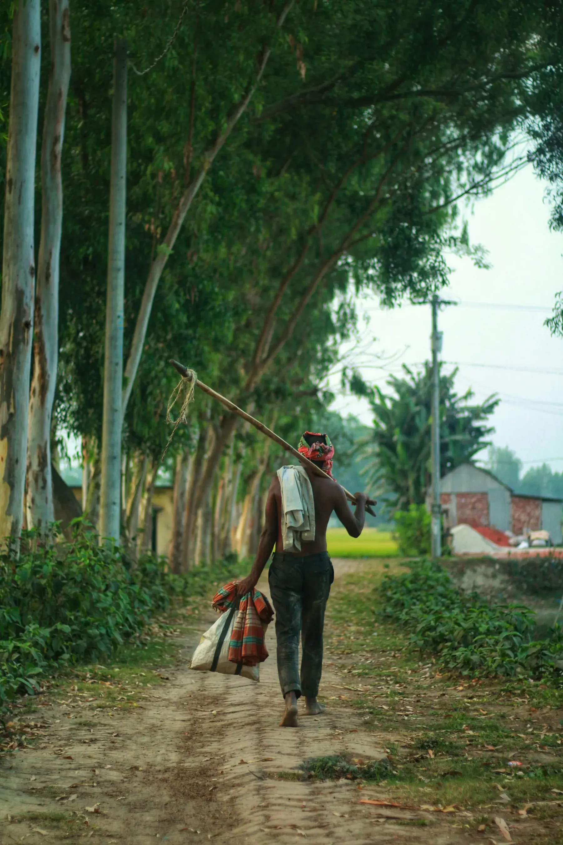 A lone traveller walking a rural Bangladesh road