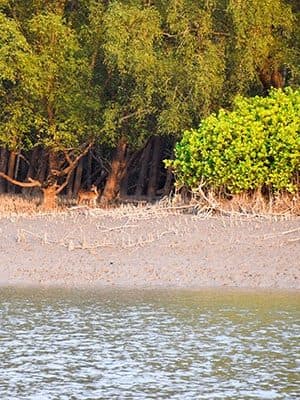 River journey near Khulna in southwest Bangladesh