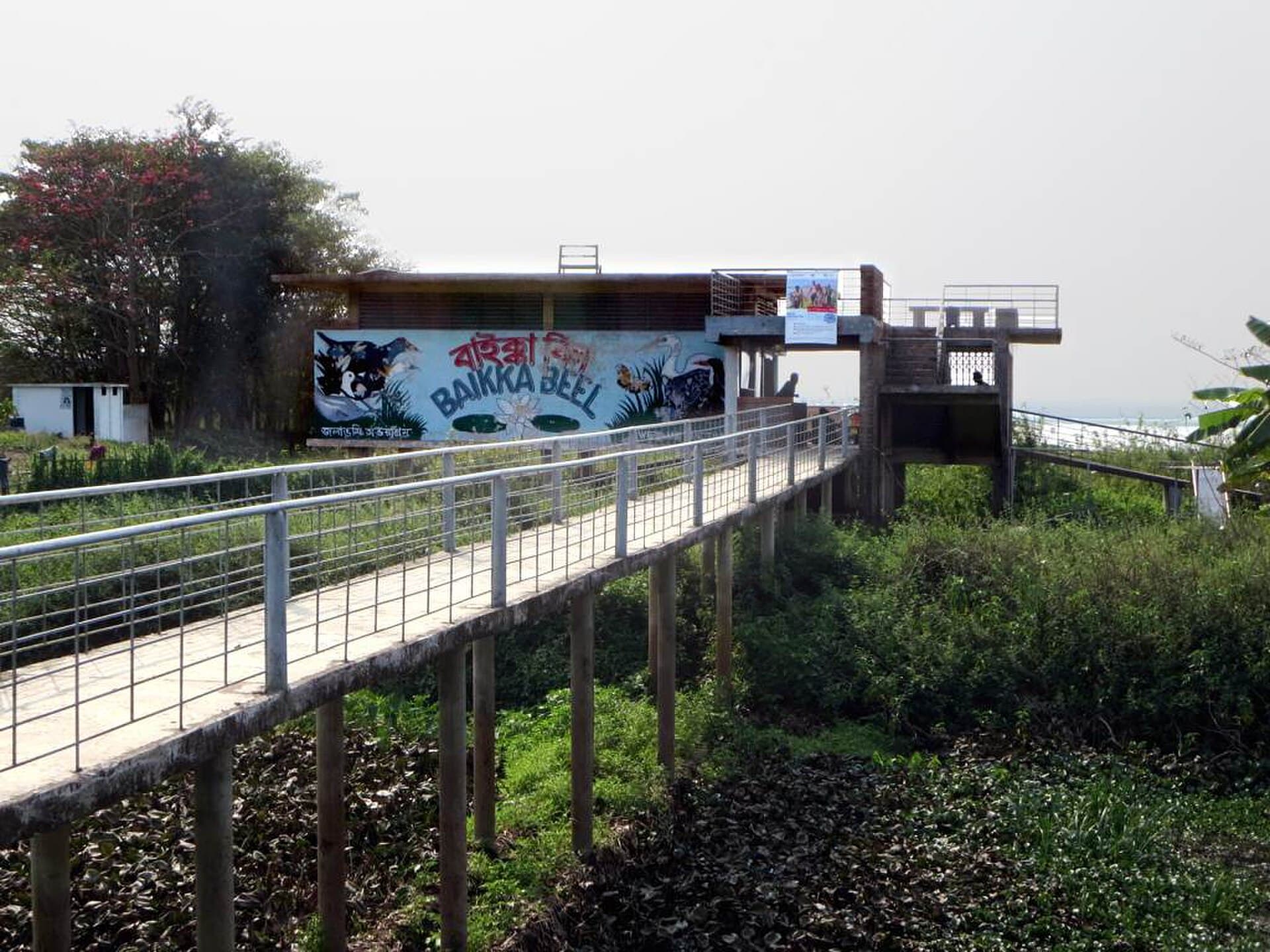 Baikka Beel in Bangladesh