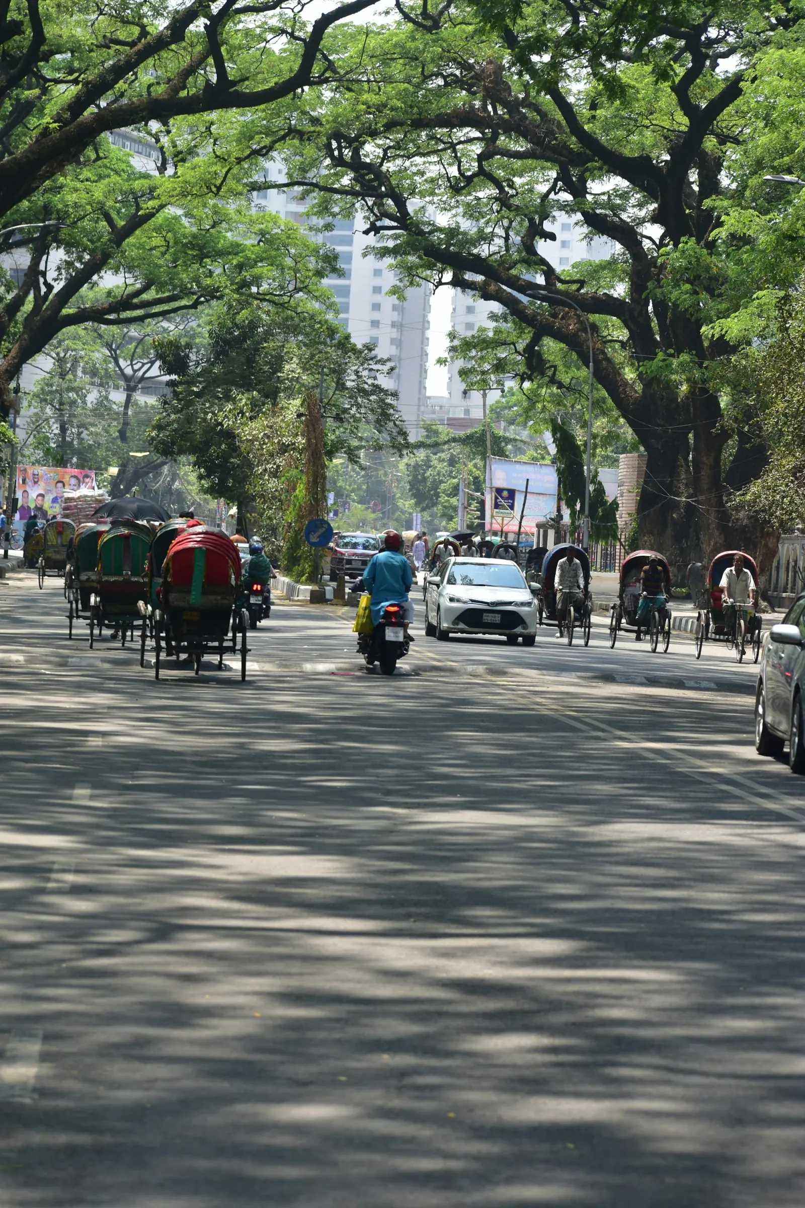 Colorful rickshaws and traffic on a tree-lined Dhaka street, regional travel context for Central Shaheed Minar