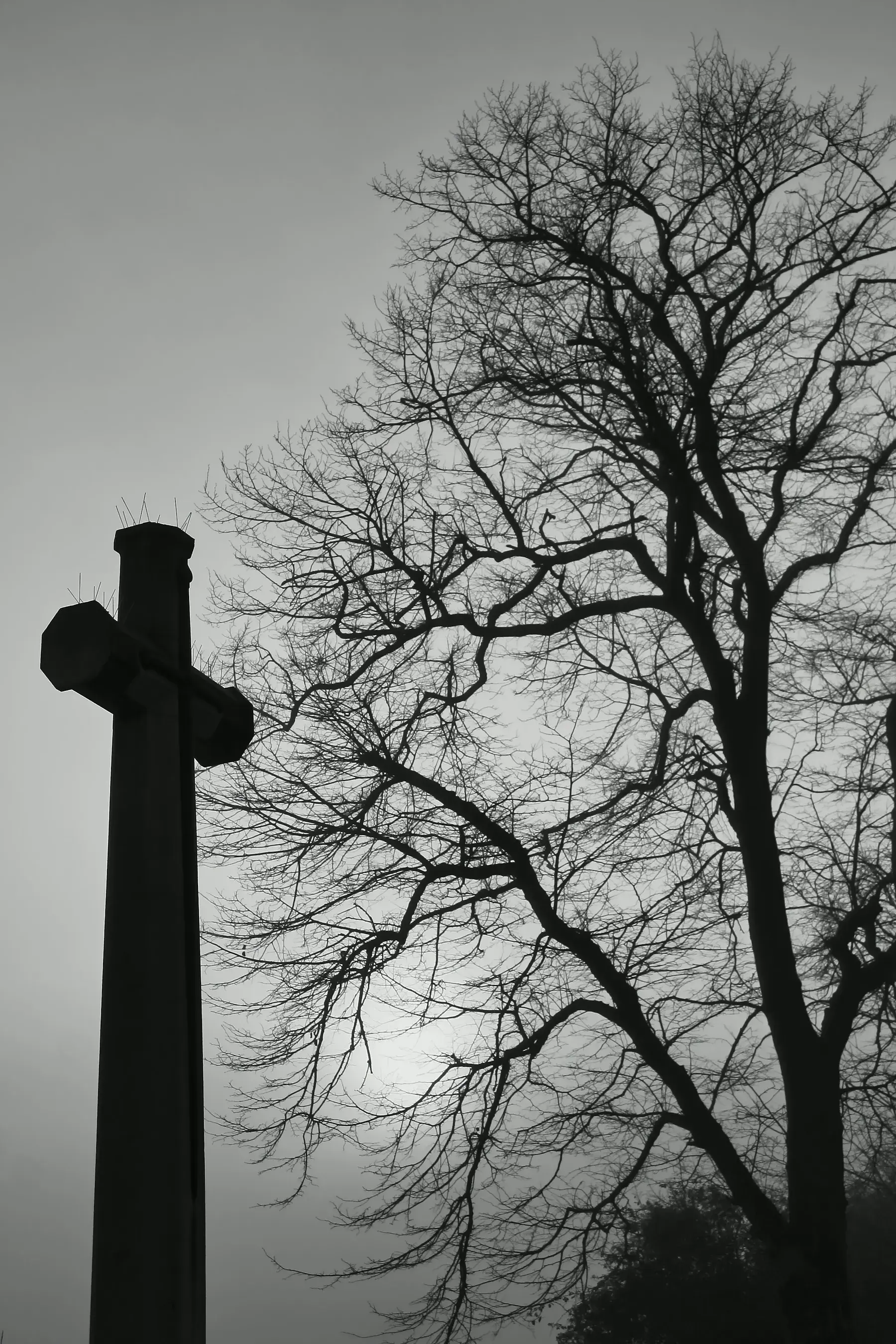 A memorial cross silhouetted beside winter trees
