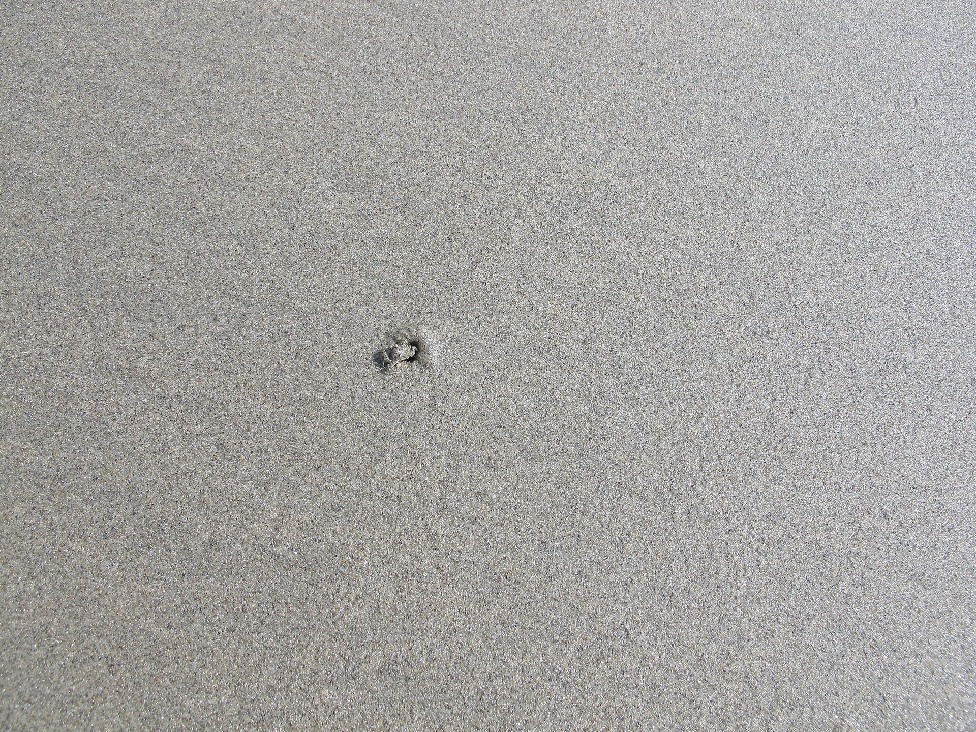 Cox’s Bazar Beach in Bangladesh