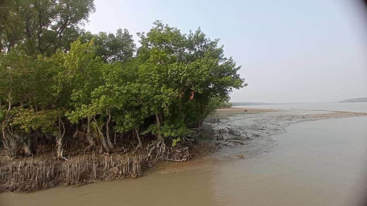 Kochikhali in Bangladesh
