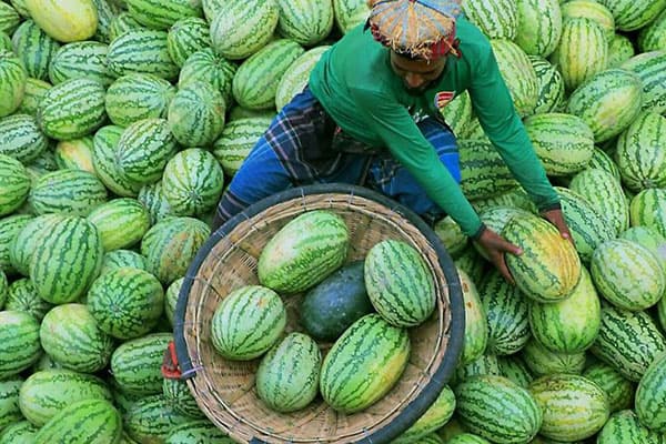 Business Travel Support in Dhaka in Bangladesh with a knowledgeable local guide